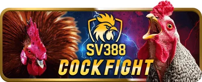 Hình ảnh minh họa chính sách cookie của j88bet